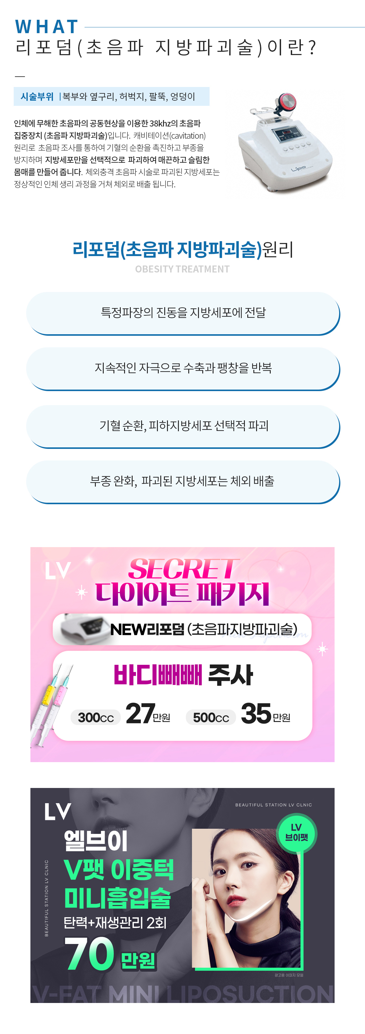 리포덤이란?